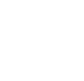 shape-1-2
